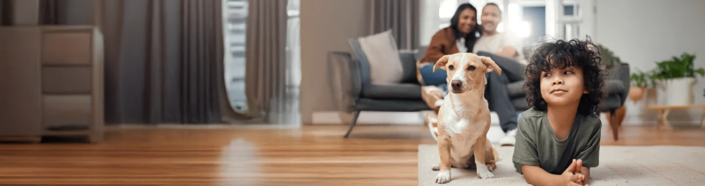 Humidifier and Air Purifier Installation