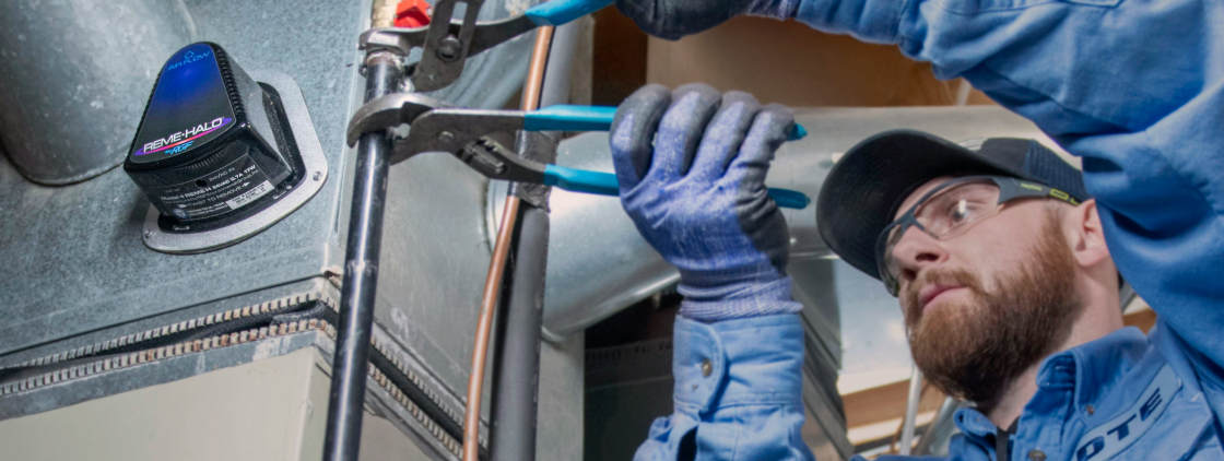 Whole Home Air Purifiers